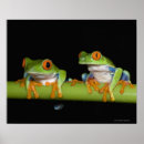 Recherche de costa rica posters Faune