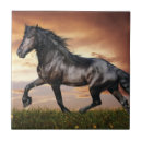 Recherche de beau cheval carreaux Pour tous