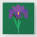 Recherche de iris horloges Nature