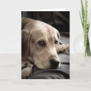 Recherche de vous manquant photographie Chiot