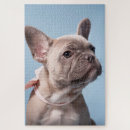 Recherche de une canine puzzles Canins