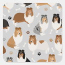 Recherche de chien colley autocollants Mignon