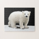 Recherche de ours blanc puzzles Neige
