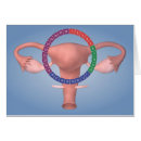 Recherche de sexuelle cartes postales Ovaire