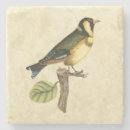 Recherche de oiseau dessous de verres Animal