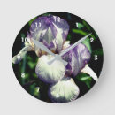 Recherche de iris horloges Floral