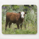 Recherche de bos tapis souris Animal