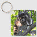 Recherche de ratons laveurs porteclés Animaux