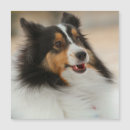 Recherche de lunar new year cartes postales Hiver