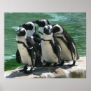 Recherche de anniversaire de pingouin art Pingouins