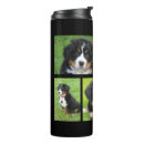Recherche de souvenir chien tasses Famille