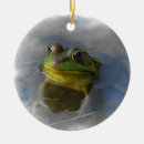 Recherche de grenouille ornements Frogance
