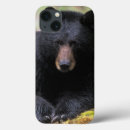Recherche de ursus coques Parc