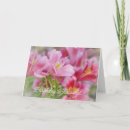 Recherche de bénédictions de fleur Rose