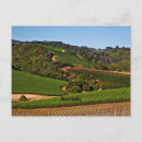 Recherche de sonoma valley cartes postales Vignoble