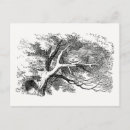 Recherche de chat de cheshire cartes postales John tenniel