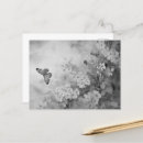 Recherche de papillon blanc cartes postales Toute personne