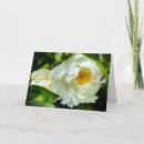 Recherche de floraison vœux cartes Bouquet