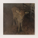 Recherche de veau puzzles Vache