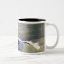 Recherche de seneca tasses Ranch ponderosa
