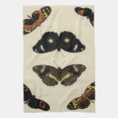 Recherche de insectes cuisine linges Papillons