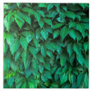 Recherche de texture feuille carreaux Botanique