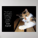 Recherche de chaton tigré posters Mignon