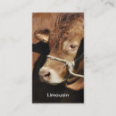 Recherche de taureaux cartes visite Ranch