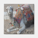 Recherche de caire magnets Giza