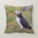 Recherche de macareux coussins Faune