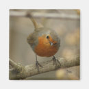 Recherche de ringard magnets Mignon