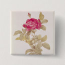 Recherche de rosas badges Pierre