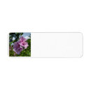 Recherche de rose de sharon Jardin