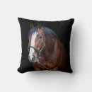 Recherche de poulain coussins Ranch