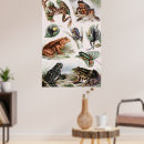 Recherche de zoologie vintage posters Animaux