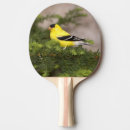 Recherche de mâle raquettes ping pong Faune