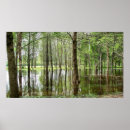 Recherche de inondation posters Arbres