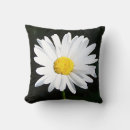 Recherche de white daisy Plante