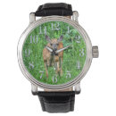 Recherche de mule photographie Faune