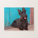 Recherche de scottish terrier puzzles Noir