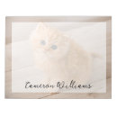 Recherche de humour blocsnotes Chaton