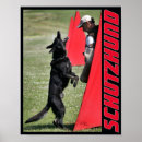 Recherche de german posters Chien berger allemand