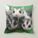 Recherche de marsupial coussins Animaux mignons