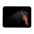Recherche de portrait de cheval magnets Ouest