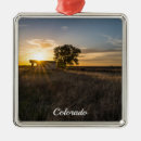 Recherche de colorado ornements Paysage