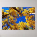 Recherche de peeper posters Jaune