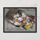 Recherche de secouru cartes postales Animal