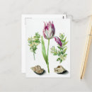 Recherche de naturaliste cartes postales Fleur
