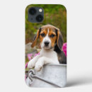 Recherche de pet iphone coques Mignon
