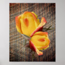 Recherche de bois grange posters Floral